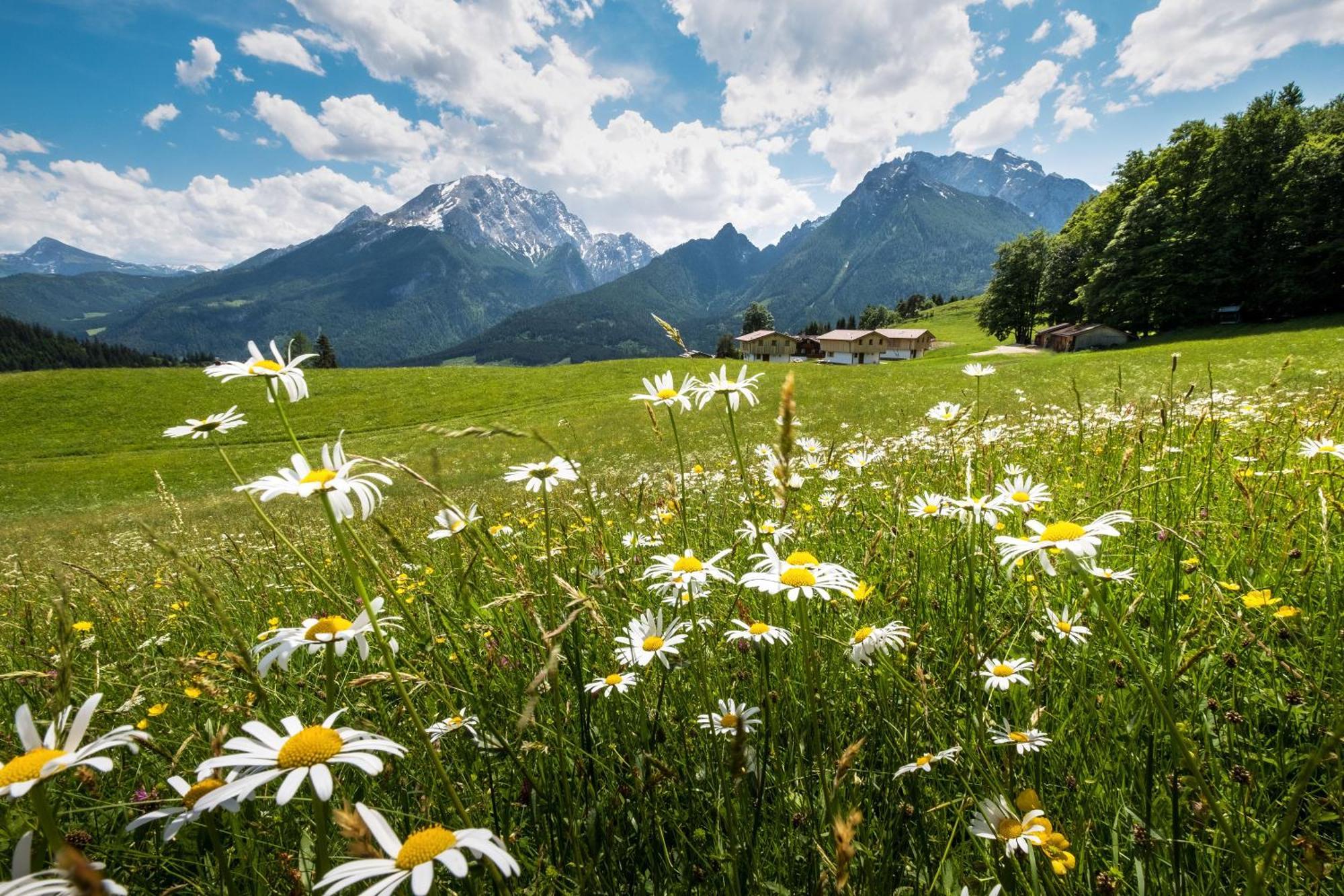 Alpenpension Ettlerlehen 람사우 외부 사진